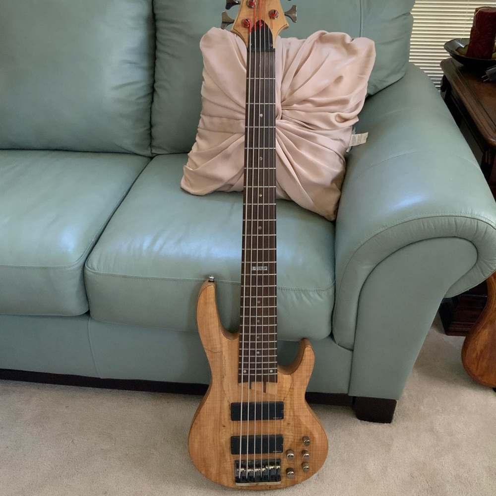 LTD Guitar